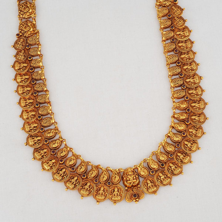 Tejaswi Nagas Long Necklace