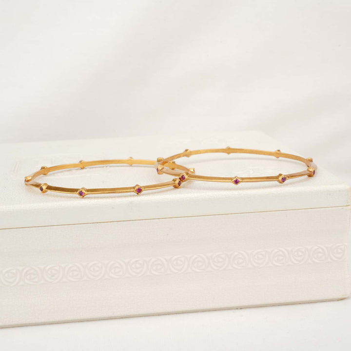 Jasvini Stone Pair Bangles