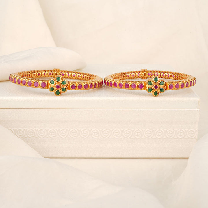 Drishya Stone Pair Bangle