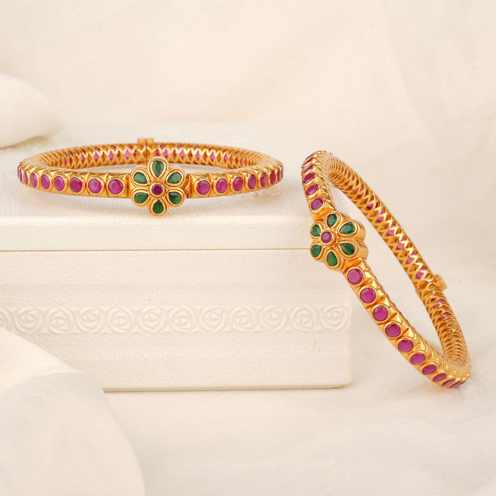 Drishya Stone Pair Bangle