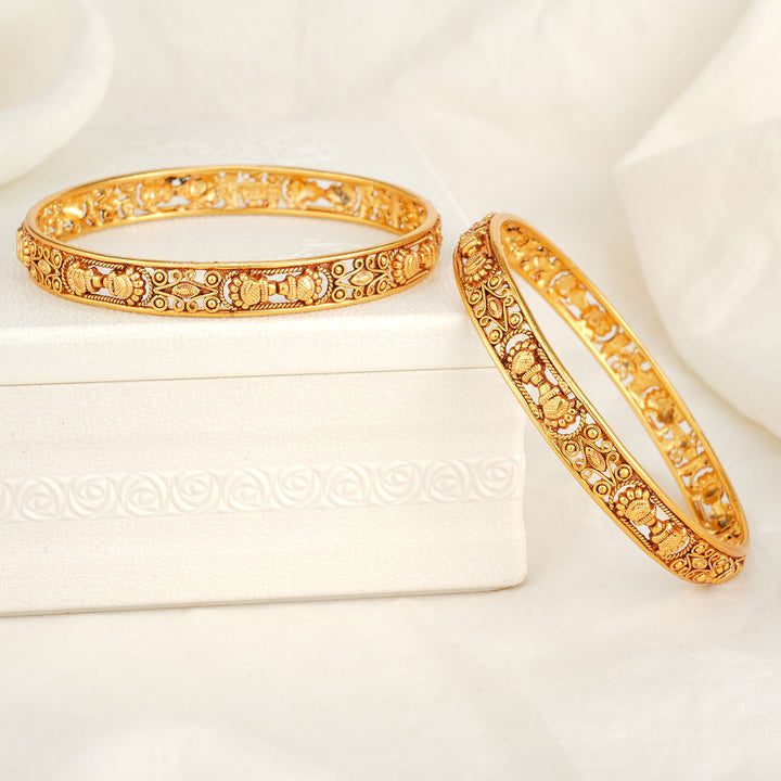 Pavikha Pair Bangles